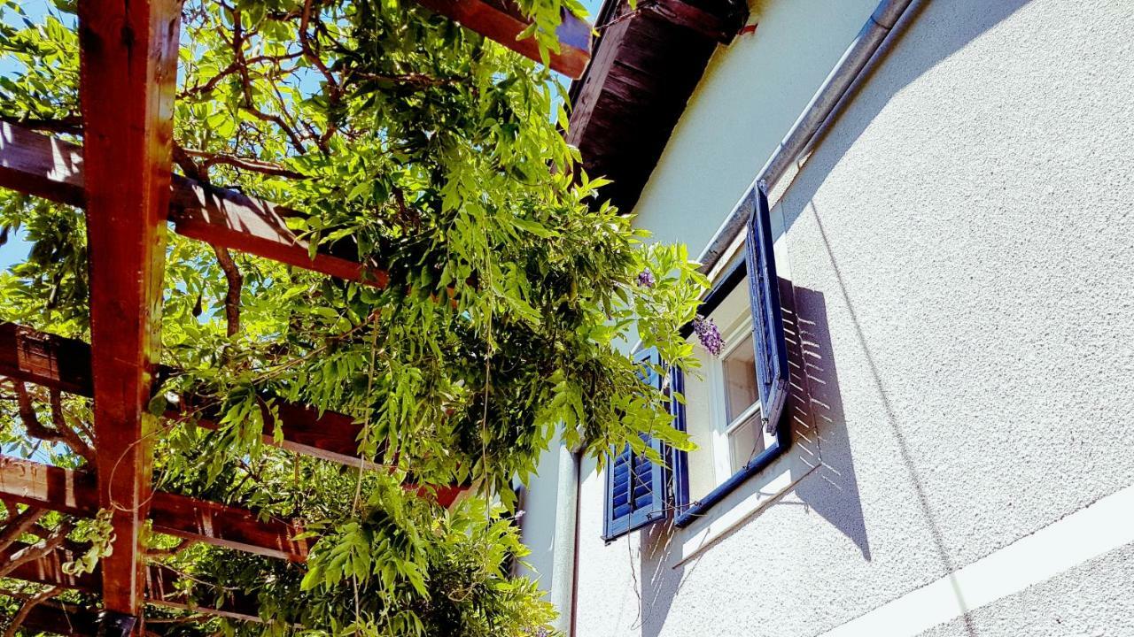 Apartments Panoramic 로브란 외부 사진